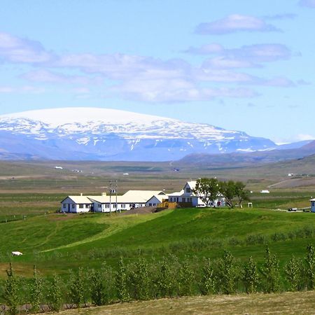 Guesthouse Steindorsstadir, West Iceland Reykholt  Εξωτερικό φωτογραφία