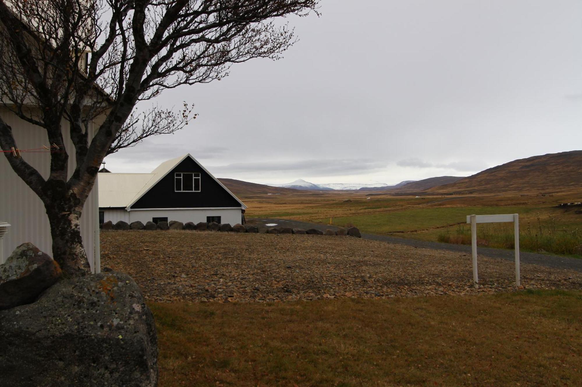 Guesthouse Steindorsstadir, West Iceland Reykholt  Εξωτερικό φωτογραφία