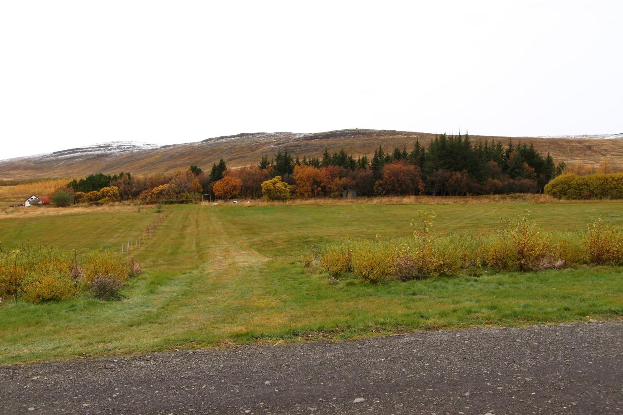 Guesthouse Steindorsstadir, West Iceland Reykholt  Εξωτερικό φωτογραφία