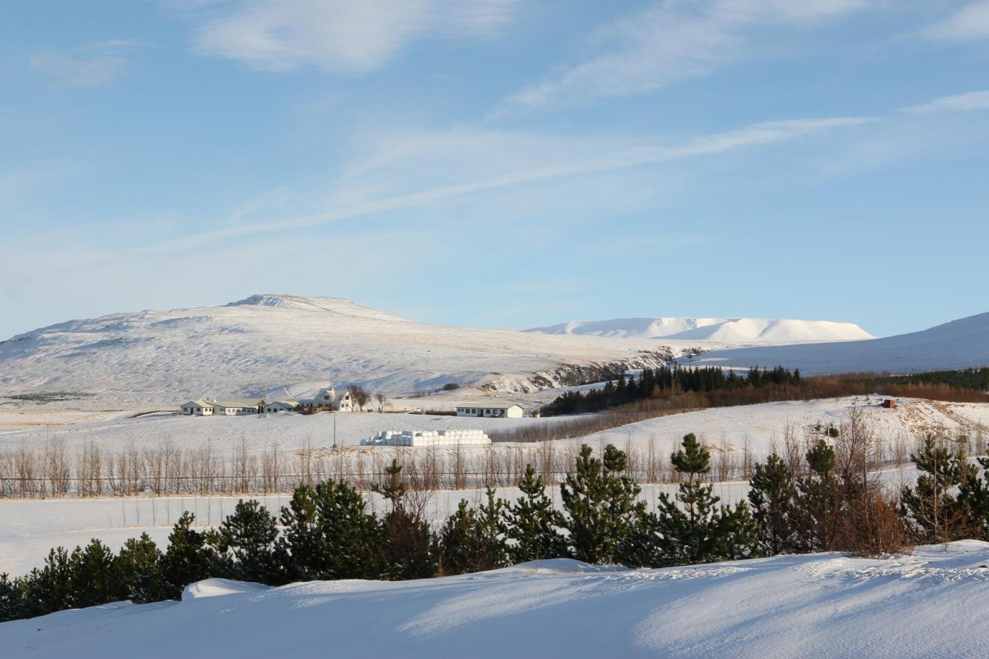 Guesthouse Steindorsstadir, West Iceland Reykholt  Εξωτερικό φωτογραφία