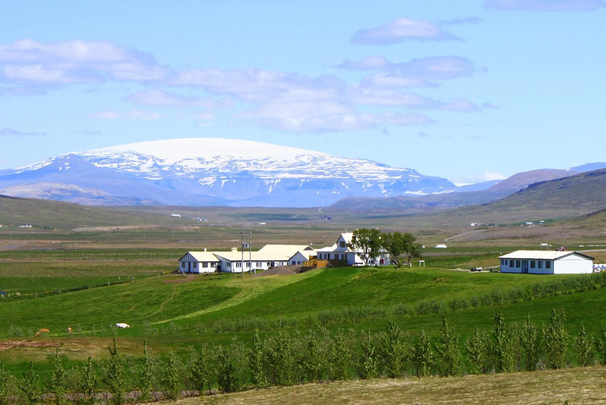 Guesthouse Steindorsstadir, West Iceland Reykholt  Εξωτερικό φωτογραφία